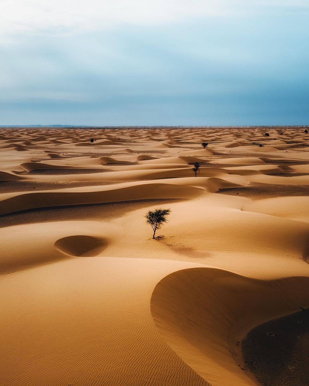 Sahara Mauritanien