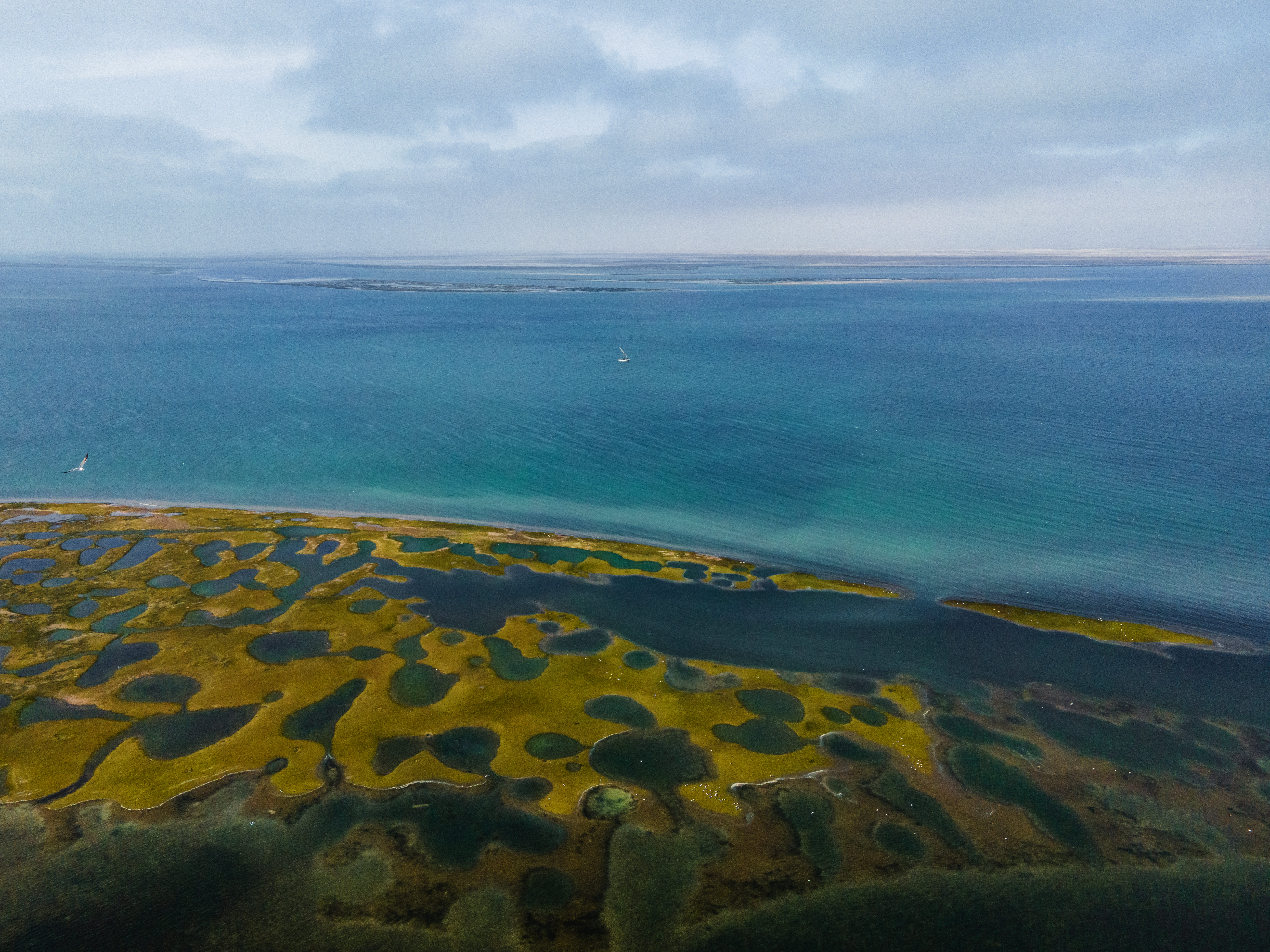 Parc National du Banc d'Arguin