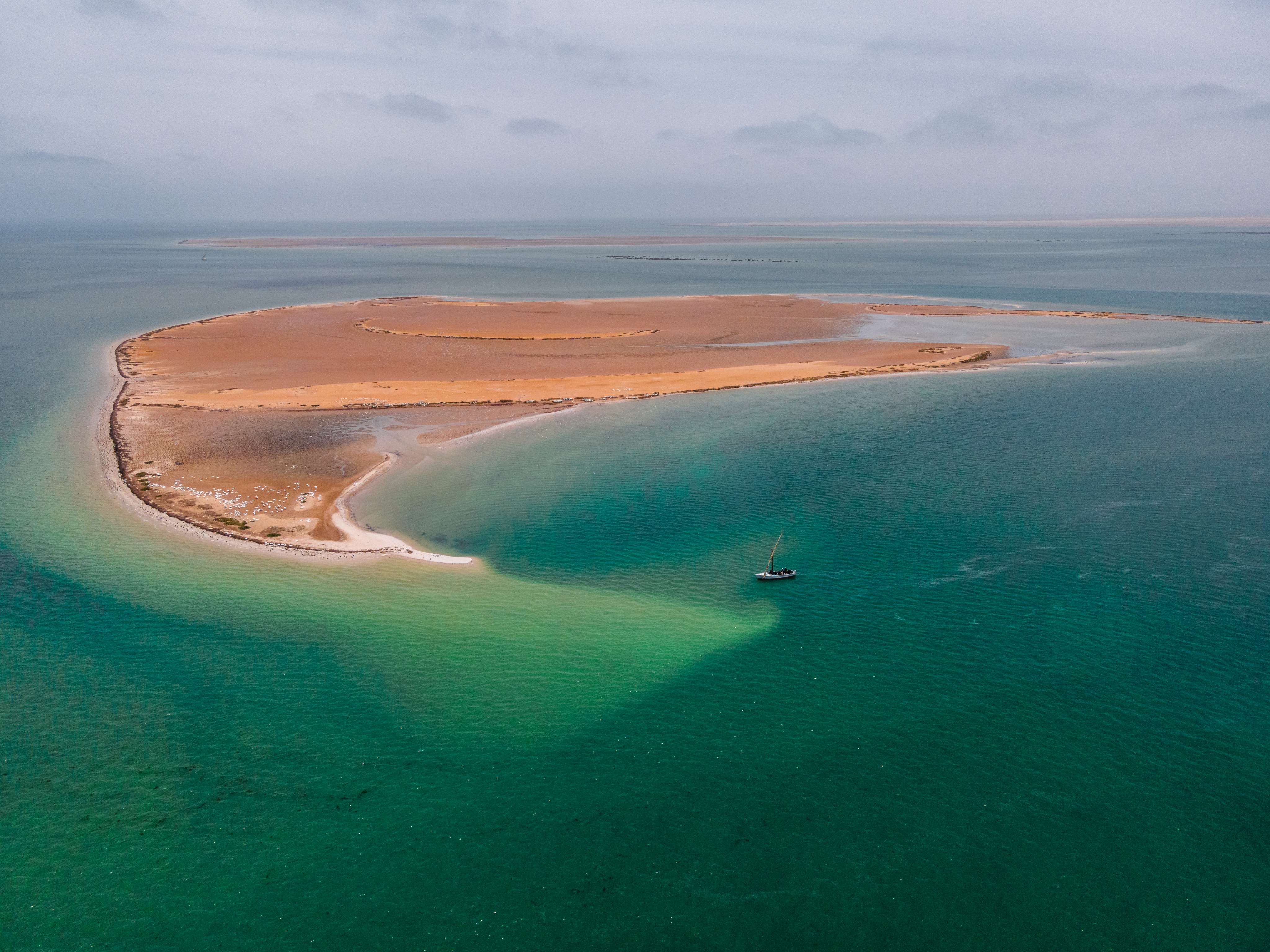 Le Banc d’Arguin, réservoir de la biodiversité du pays.