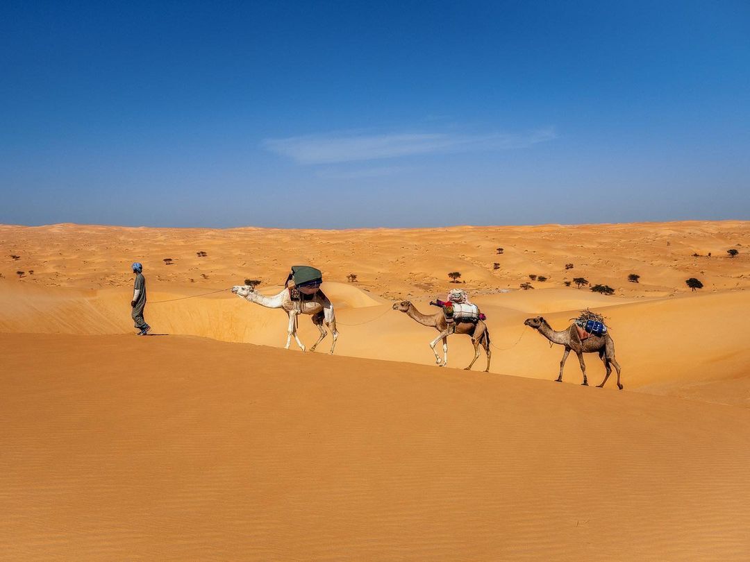 السياحة الصحراوية